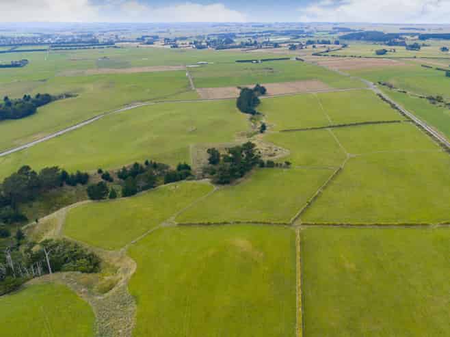 116 Karahaki Road, Waverley