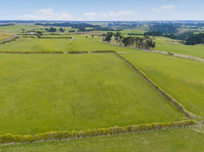 116 Karahaki Road, Waverley