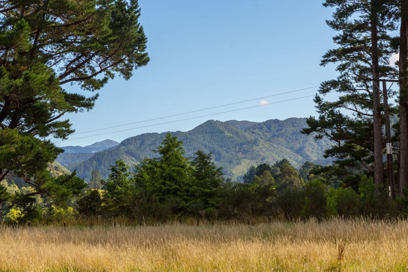 Waiohine Valley - lifestyle and convenience - Više
