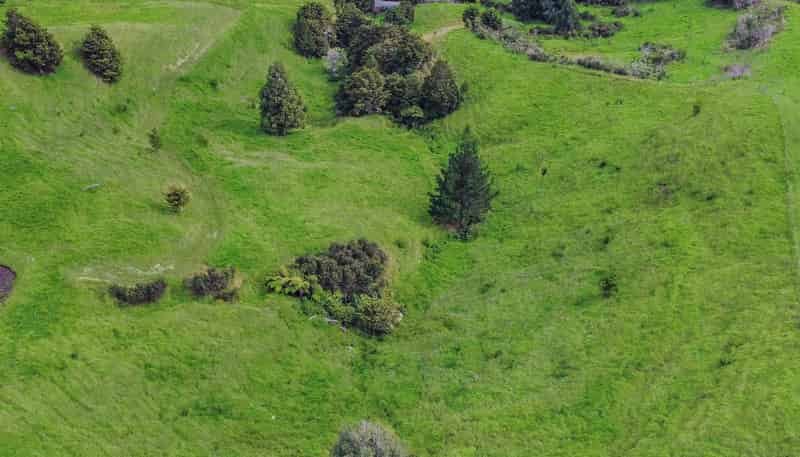 661a Omaunu Road, KAEO