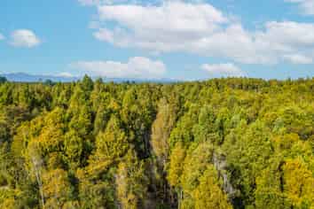 5 Sadler Place, KUMARA JUNCTION