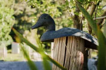 119 Shelley Road, Whataupoko