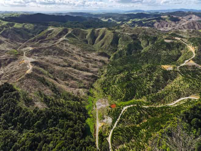 Highway 22, Ngaruawahia