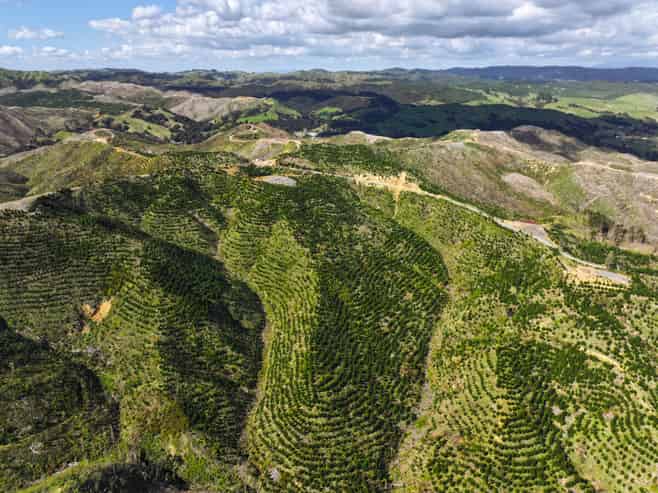 Highway 22, Ngaruawahia