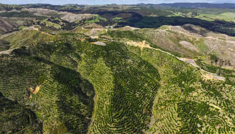 Highway 22, Ngaruawahia