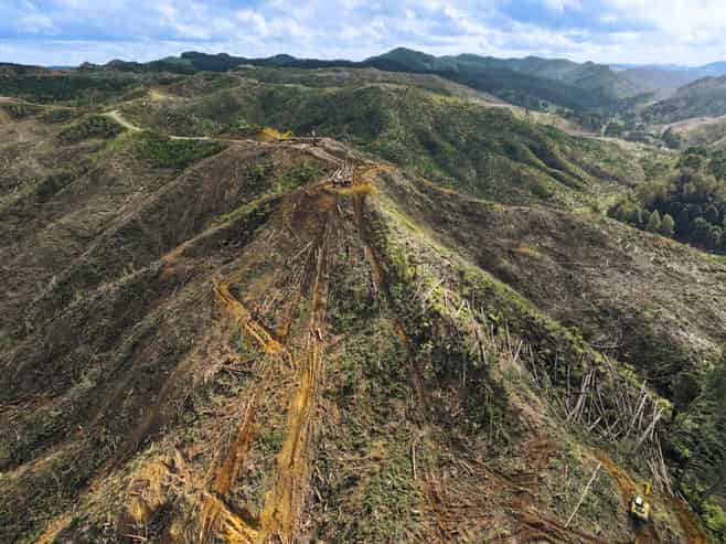 Highway 22, Ngaruawahia