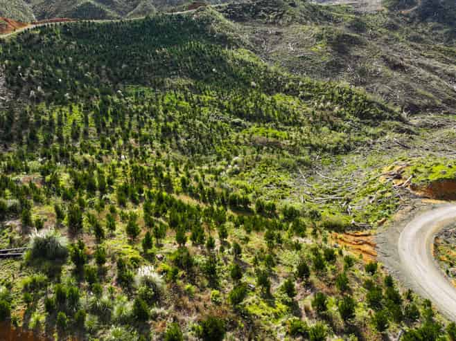 Highway 22, Ngaruawahia