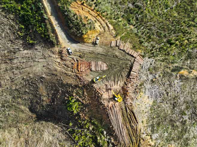 Highway 22, Ngaruawahia