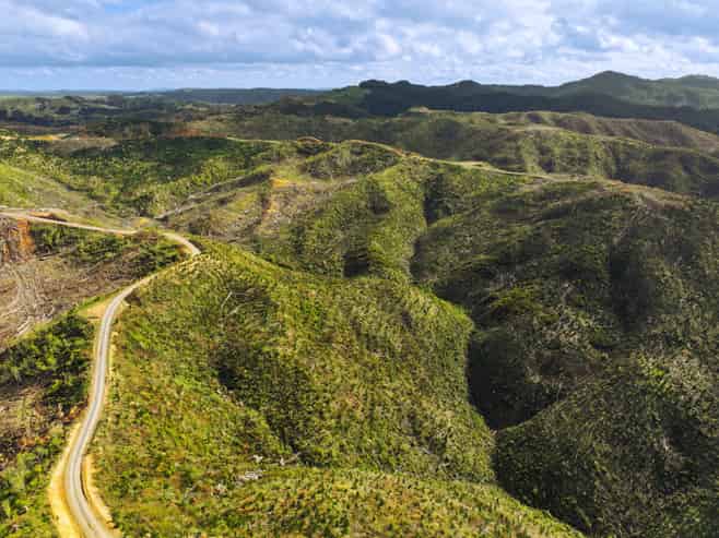Highway 22, Ngaruawahia