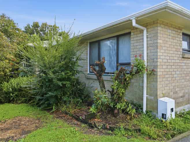 13 Malyon Street, Te Puke