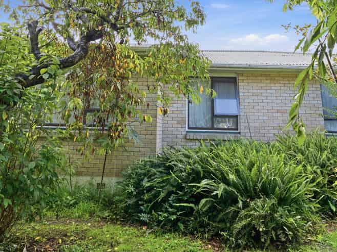 13 Malyon Street, Te Puke