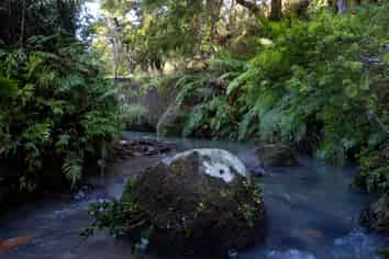 1238 Fern Flat Road, KAEO