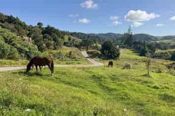 1238 Fern Flat Road, KAEO