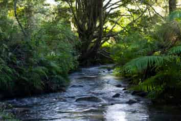 1238 Fern Flat Road, KAEO