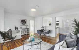 5 Middlesex Road, Waterview