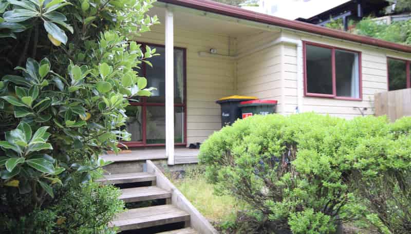 25 Serpentine Avenue, DUNEDIN CENTRAL