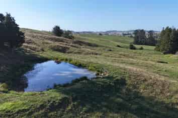 56 Shepherd Road, Wellsford