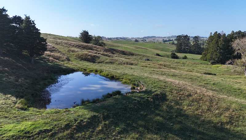 56 Shepherd Road, Wellsford
