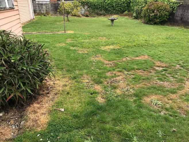 12 Anthony Crescent, Bader