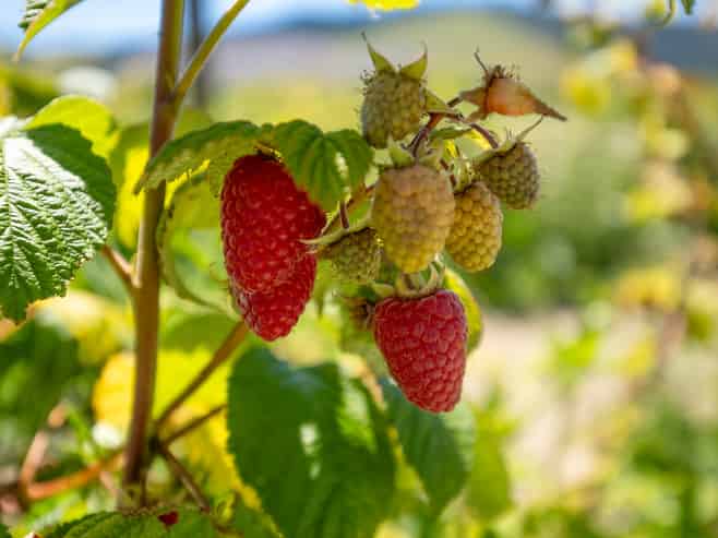 160 Tadmor Valley Road, Tapawera