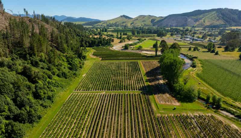 160 Tadmor Valley Road, Tapawera