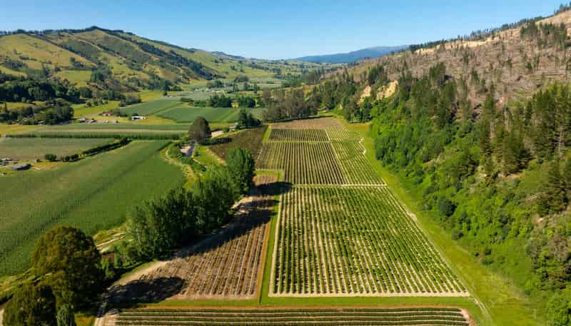 160 Tadmor Valley Road, Tapawera