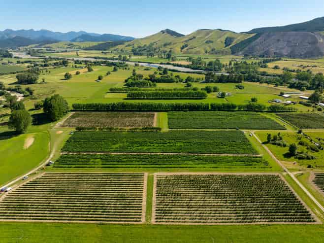 160 Tadmor Valley Road, Tapawera