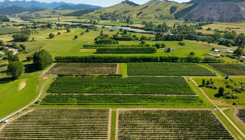 160 Tadmor Valley Road, Tapawera