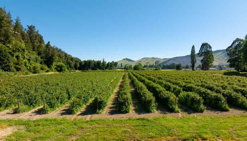 160 Tadmor Valley Road, Tapawera