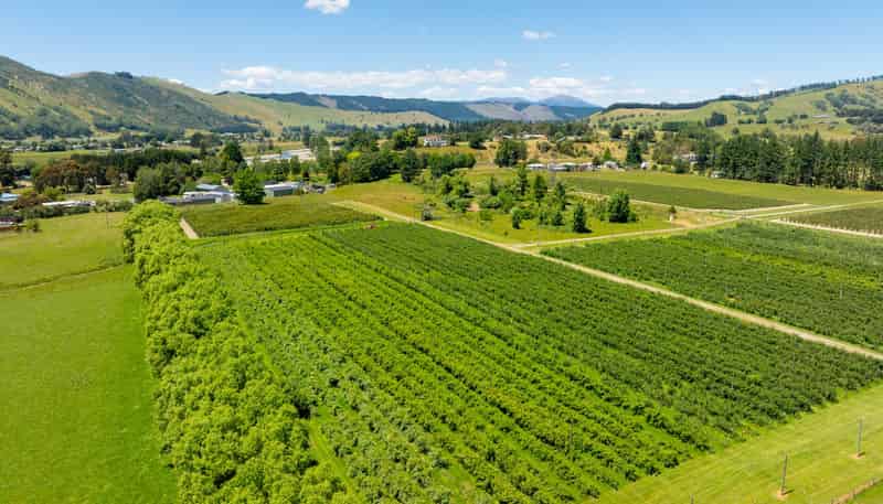 160 Tadmor Valley Road, Tapawera
