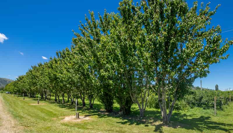160 Tadmor Valley Road, Tapawera