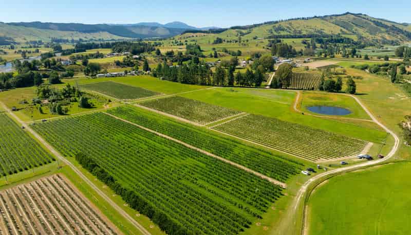 160 Tadmor Valley Road, Tapawera