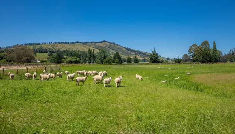 160 Tadmor Valley Road, Tapawera