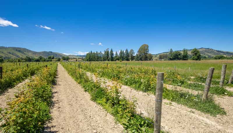 160 Tadmor Valley Road, Tapawera