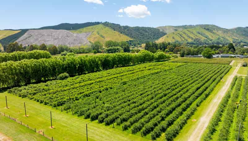 160 Tadmor Valley Road, Tapawera