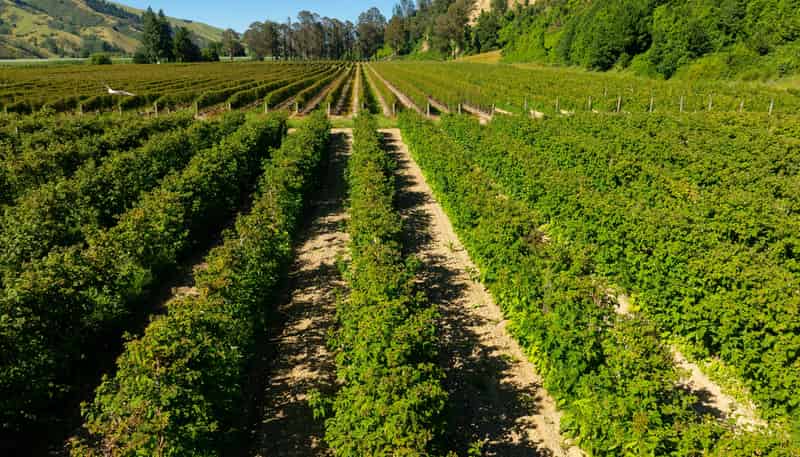160 Tadmor Valley Road, Tapawera