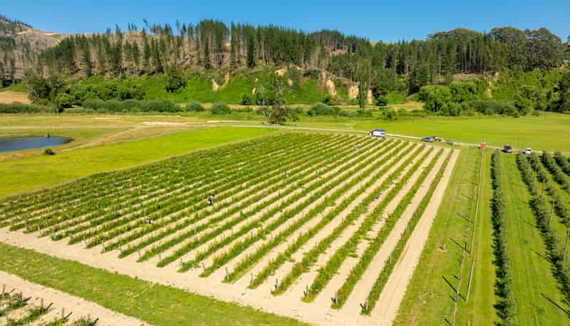 160 Tadmor Valley Road, Tapawera