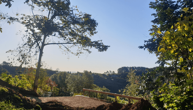 96D Plummer Road, Whakamarama