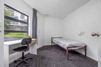 3H/30 Symonds Street, Grafton