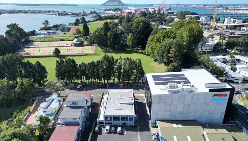 Level 1/102 Hamilton Street, Tauranga Central