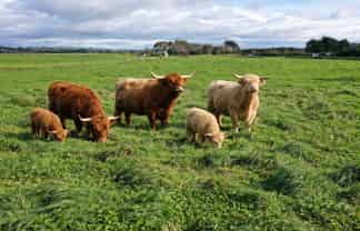 12A Pahiatua Pongaroa Road, Pahiatua