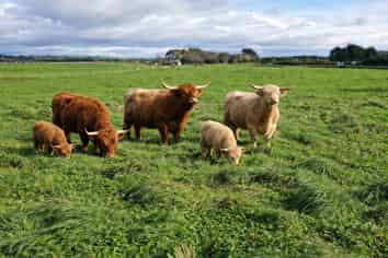 12A Pahiatua Pongaroa Road, Pahiatua