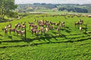 163B Papaiti Road, Papaiti