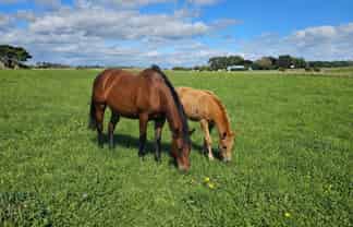 12B Pahiatua Pongaroa Road, Pahiatua