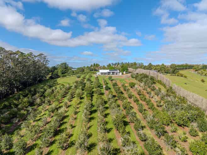 89 Conifer Lane, Kerikeri
