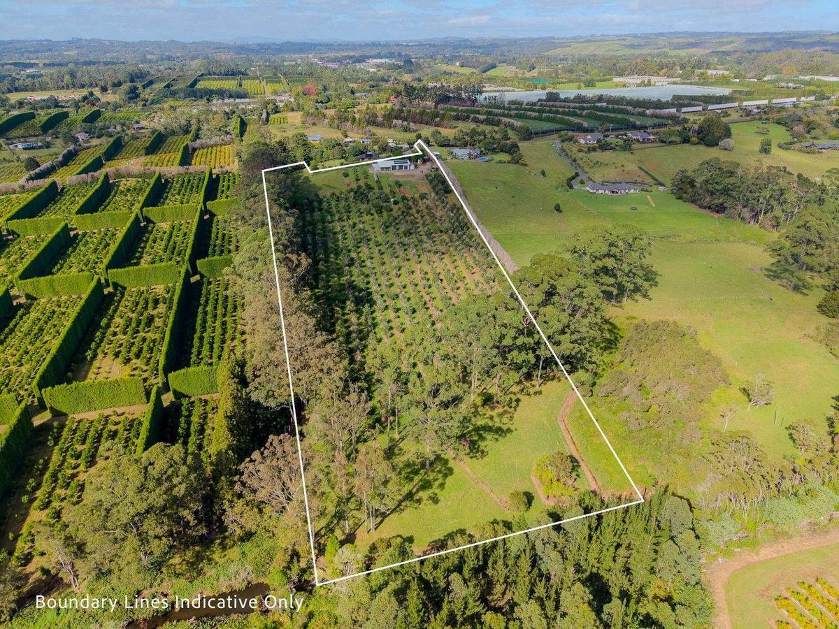 89 Conifer Lane, Kerikeri, Far North, Northland - Photo 2