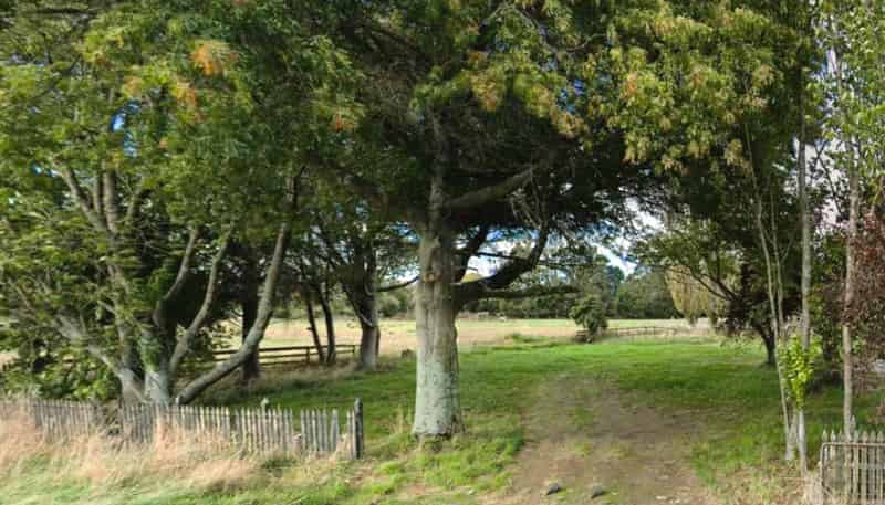 3794 Broadlands Road, Reporoa