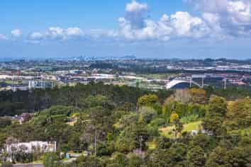 251 Lonely Track Road, Albany Heights