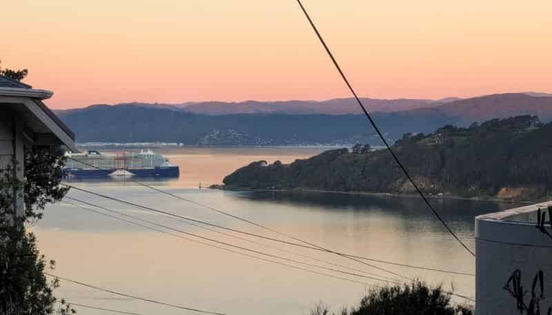 110B Grafton Road, Roseneath