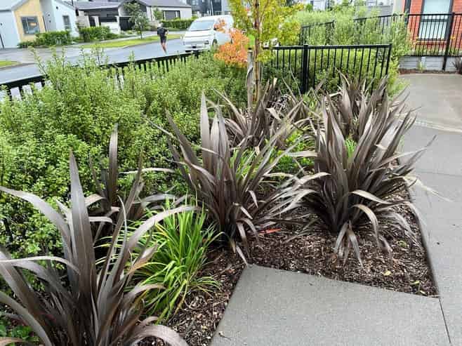 11 Ngakoro Road, Karaka